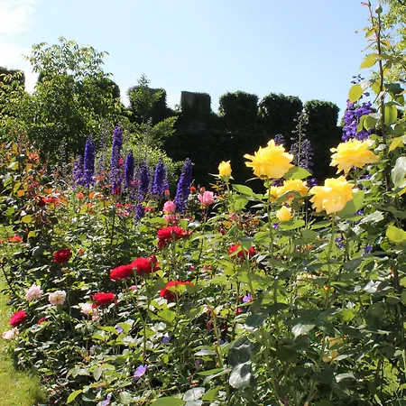 ريتشارد لوفينهارتس 4*