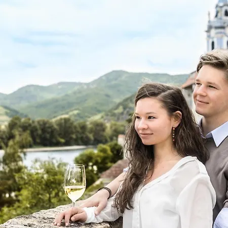 فندق ريتشارد لوفينهارتس Dürnstein