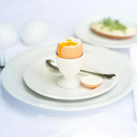 ريتشارد لوفينهارتس فندق 4*