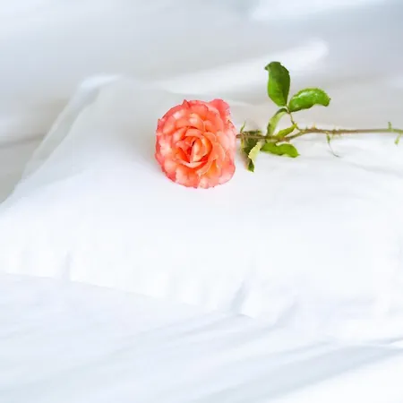 ريتشارد لوفينهارتس فندق 4*