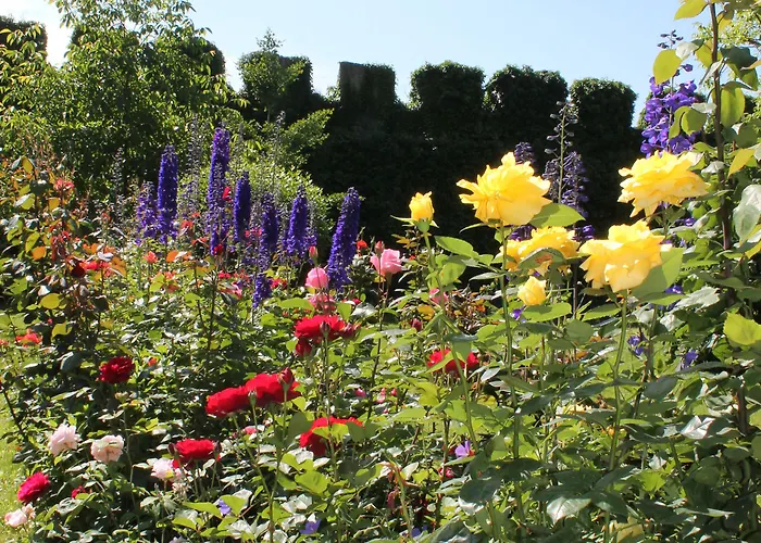 Richard Löwenherz 4*