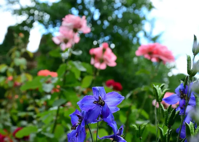 Richard Loewenherz Hotell