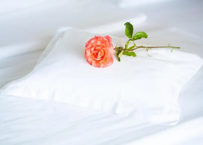 Richard Loewenherz Hotell 4*